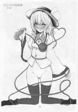 Page 13 of Totsuzen Omoitsuita no de Tsukutte mitayo Bon