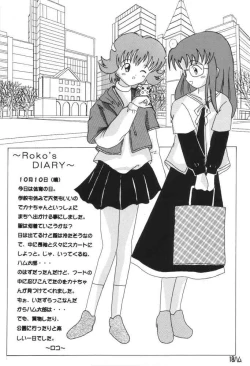 Page 17 of BM HAMTARO