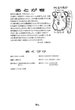 Page 29 of BM HAMTARO