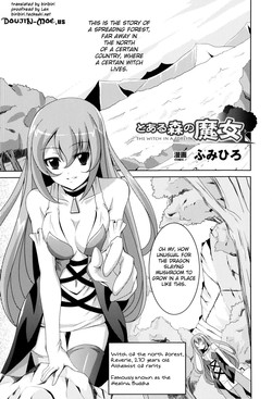 Download The Witch In A Forest