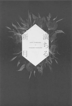 Page 2 of Michiru Shingetsu