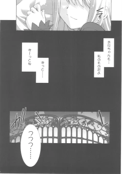 Page 27 of Einzbern no Otometachi