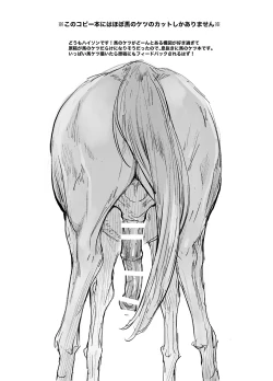 Page 2 of Uma no Ketsu to Shasei Bon