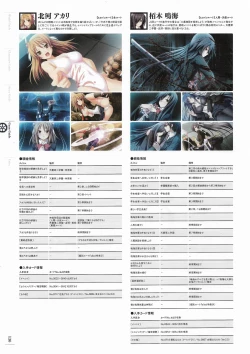 Page 133 of Soukoku no Arterial Perfect Guidebook