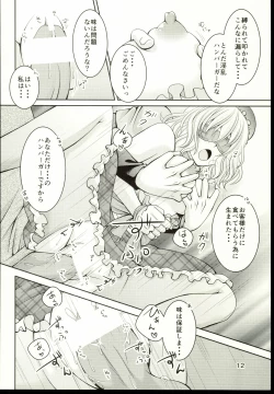 Page 14 of Hamburger