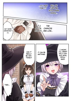 Page 26 of Yuusha no Ore wa TS Mesuinu Maid nanka ni wa Zettai ni Naranai!