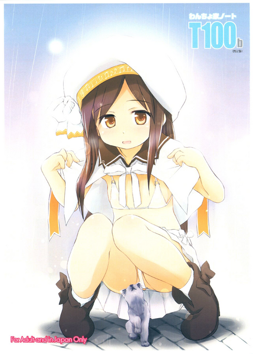 Download Wancho-ke Note T100b