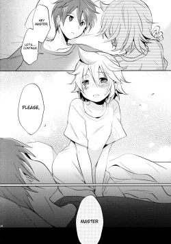 Page 24 of Sairokushi Master