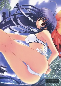 Page 13 of original colors