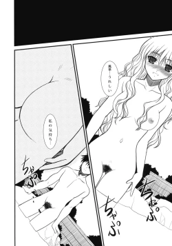 Page 3 of JAPRICOT FIELDS FOREVER