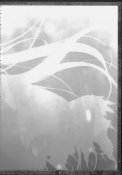 Page 23 of Papilio protenor