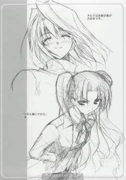 Page 17 of CRIMsON plus