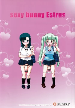 Page 10 of Ochinpo Usagi wa Hatsujouchuu - sexy bunny Estrus