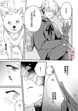 Page 53 of osuwari! Mate! Namecha dame! ! Zen kōtei02｜坐下！等待！那个不能舔！！被全肯定系小狗猛烈求爱~01-02话