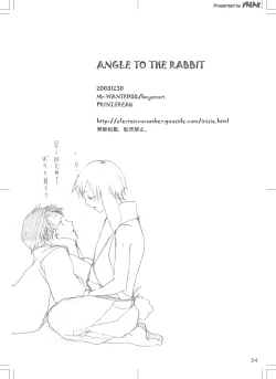 Page 33 of ANGLE TO THE RABBIT