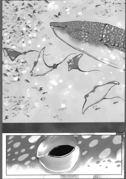 Page 8 of THE TIGHT KNOT