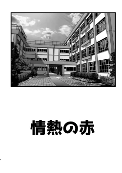 Page 4 of Hankotsu Mesh Color