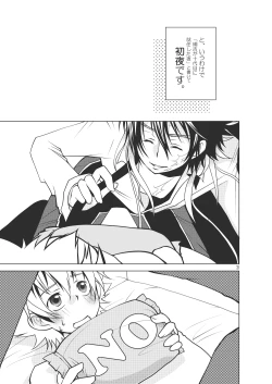 Page 29 of Ore no Doutei o Kimi ni Sasagu