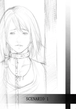 Page 3 of Seijo o Mesu Dorei ni Otose