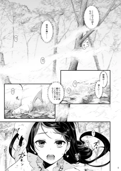 Page 5 of Seidorei Senki Soushuuhen