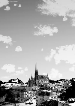 Page 57 of Reitetsu Ouji wa Dekiai no Soshitsu ga Aru kamo shirenai 3