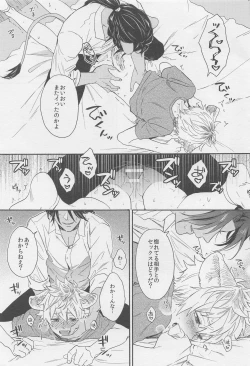 Page 16 of Limited 24 hours