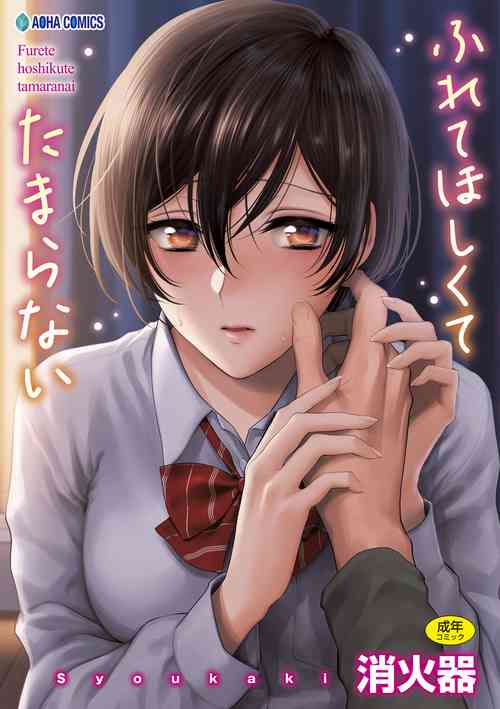 Download ふれてほしくて たまらない  未来數位、eve個人拼接版 無修正 DL版