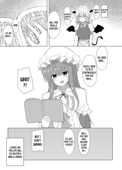 Page 25 of Patchouli no Jikken de Succubus ni Natta Sakuya-san