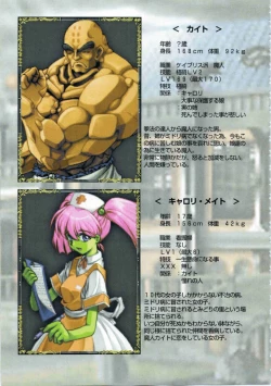 Page 112 of Kichikuou Rance First Press Release Book