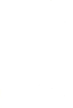 Page 37 of Codomore 6