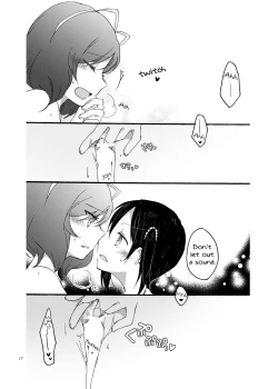 Page 17 of Nicomakix