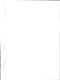 Page 2 of Shijousaikyou no Deshi e no Michi Toranomaki Honey Bump Kenichi Soushuuhen