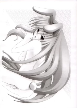 Page 21 of Touhou Rankasai