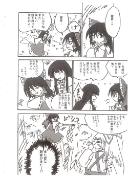 Page 3 of Touhou Rankasai