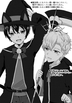 Page 11 of HeathShino