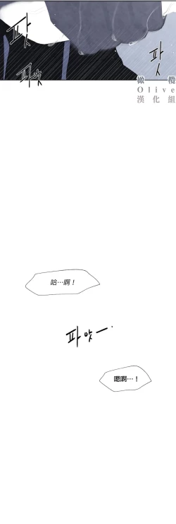 Page 441 of Summer Solstice Point Camp Ch.00-13|夏至点Ch.00~13