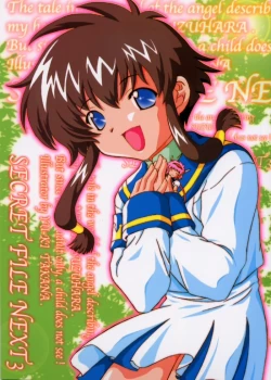 Page 1 of Secret File Next 3