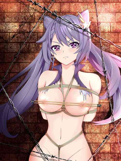 Download Genshin Impact - Single Figure Difference Collection