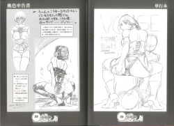 Page 16 of 桃色申告書 ver.MILLENNIUM FALCON