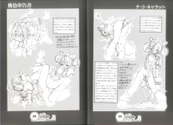 Page 21 of 桃色申告書 ver.MILLENNIUM FALCON