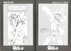 Page 34 of 桃色申告書 ver.MILLENNIUM FALCON