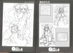 Page 5 of 桃色申告書 ver.MILLENNIUM FALCON