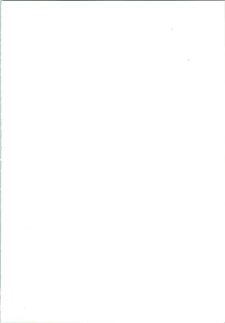 Page 2 of Aifan AGAIN