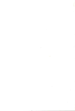 Page 75 of Aifan AGAIN