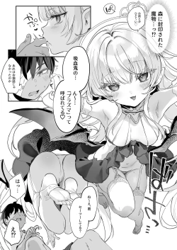 Page 13 of Kekki Yakou Shinso no Hime wa Hatsujou Shiteiru !