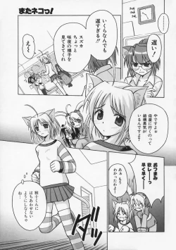 Page 18 of Mataneko!