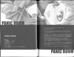 Page 17 of Panic Room