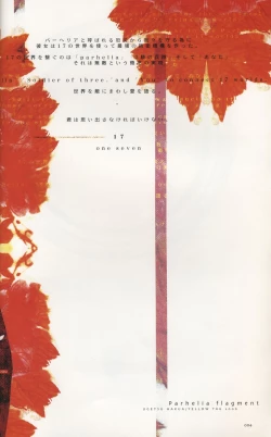 Page 4 of Parhelia Flagment flag2