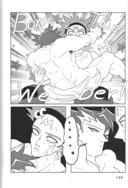 Page 120 of BIRD&BEE