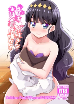 Page 1 of Ecchi ga Suki na Seitokaichou wa Iya ka?